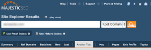 Anchor Tex tab on Majestic SEO Site Explorer