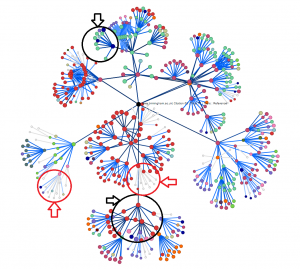 mapping the internet