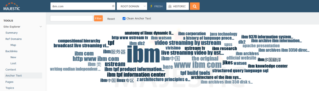 A Word Cloud showing the most common anchor text for ibm.com