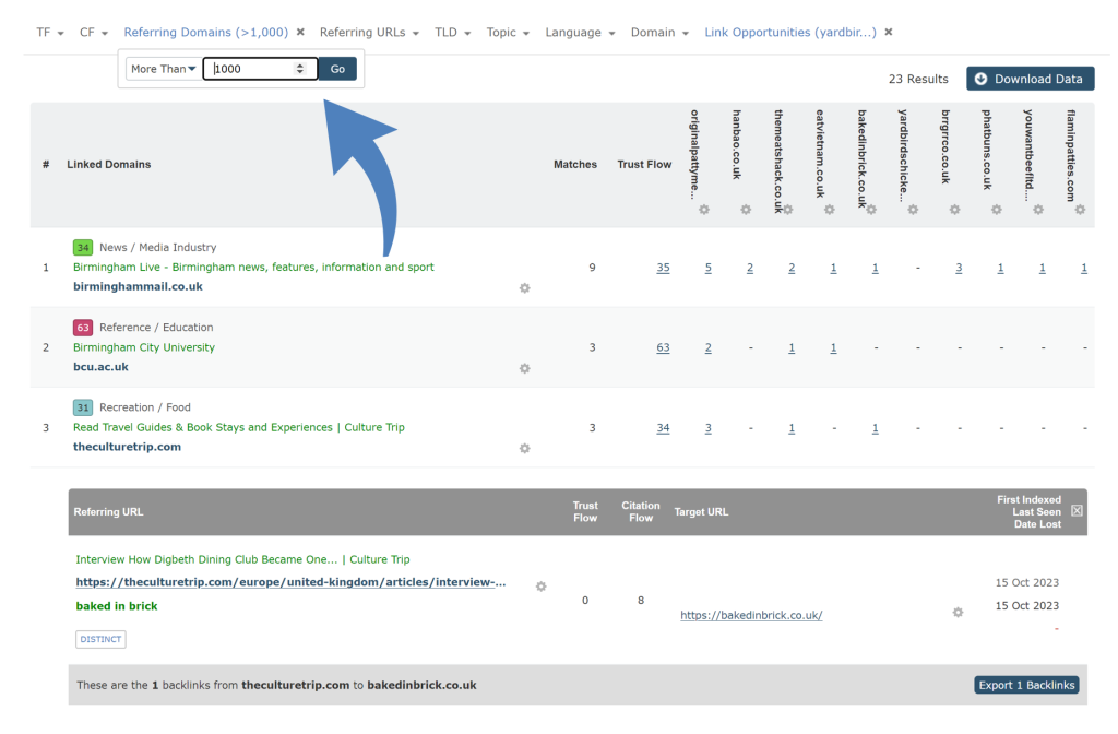 نمایش فیلتر Referring Domains. 