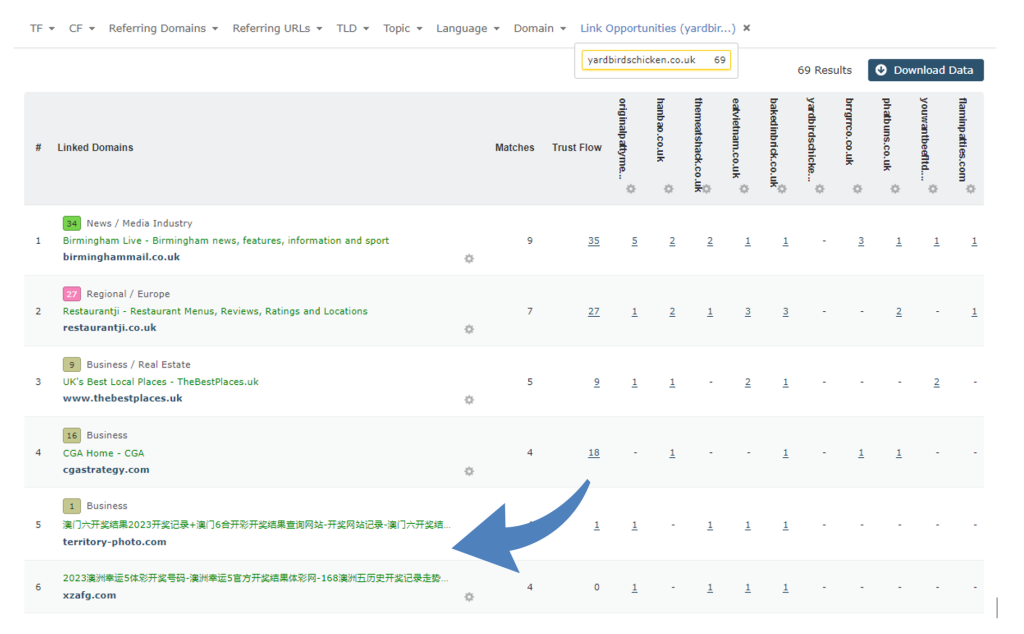 An arrow pointing to two rows with very long Chinese page titles.  They look out of place because the other page titles are in English. 