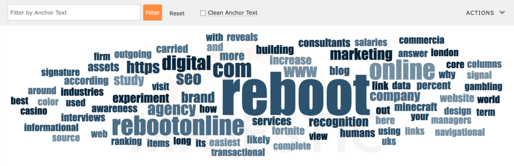A Word Cloud showing the Anchor Text distribution for a website.